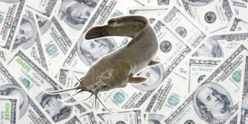 Is Your Match Financially Catfishing You? 50% of People Do It.
