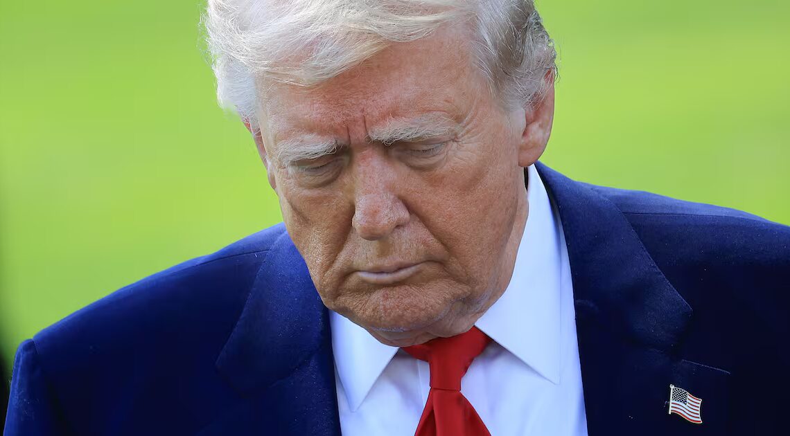 Trump’s Niece Torches Him Over ‘Despicable’ Piggy Insult to Female Reporter