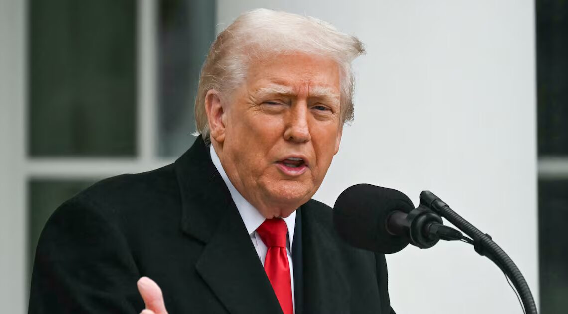 Trump, 79, Turns Holiday Turkey Pardon Into Mean Fat Shaming