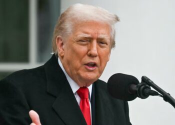 Trump, 79, Turns Holiday Turkey Pardon Into Mean Fat Shaming