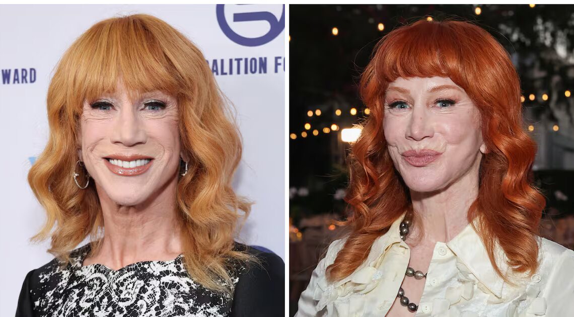 Kathy Griffin, 65, Says Third Facelift Came at a Shocking Price