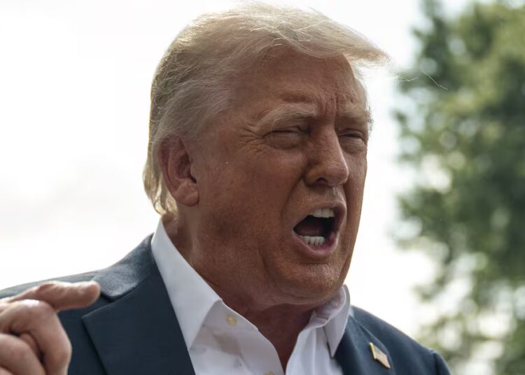 Trump Begs SCOTUS to Toss His Sex Abuse Verdict