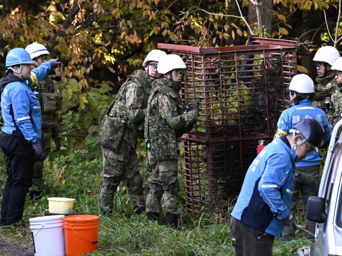 Japan deploys the military in north to battle surge in bear attacks