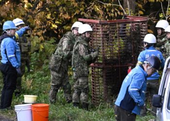 Japan deploys the military in north to battle surge in bear attacks