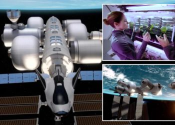 Jeff Bezos wants to send people to live in space — here’s what it would look like