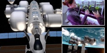 Jeff Bezos wants to send people to live in space — here’s what it would look like