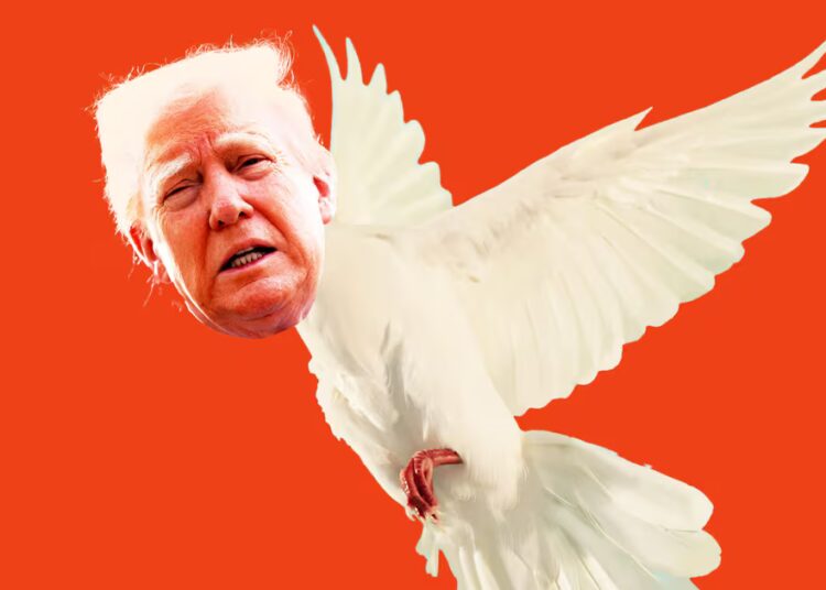 GOP Civil War Erupts Over Trump’s ‘Garbage’ Peace Plan