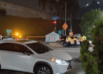 L.A. Metro bus operator killed by hit-and-run driver while on break