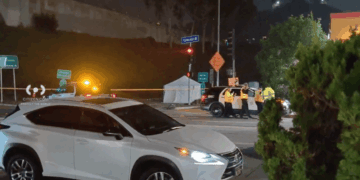 L.A. Metro bus operator killed by hit-and-run driver while on break