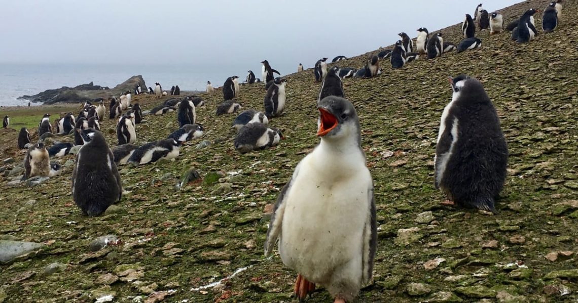 Les objectifs de l’accord de Paris sur le climat sont loin d’être atteints, alerte l’ONU