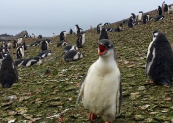 Les objectifs de l’accord de Paris sur le climat sont loin d’être atteints, alerte l’ONU