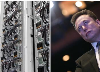 Musk’s AI Fortress Hides a Secret That Trump Will Hate