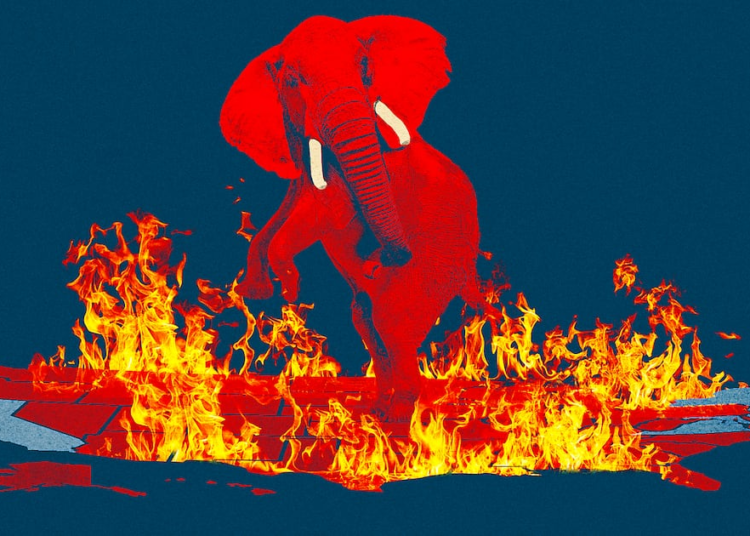 MAGA Blame Game Erupts After Republicans Suffer Nationwide Losses