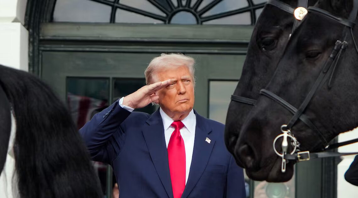 White House Defends Trump’s ‘Piggy’ Comment