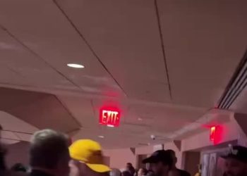 Mamdani Takes In the Knicks From the Rafters, After Cuomo Sat Courtside