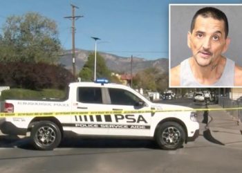 Maniac chops up mom, stores bagged remains in freezer because she gave her life ‘to darkness:’ police