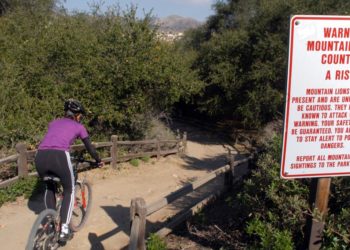 Mountain lion sightings prompt closure of Orange County park