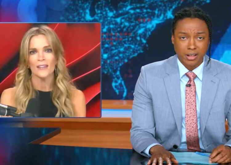 ‘Daily Show’ Rips Megyn Kelly’s Bonkers Epstein Defense