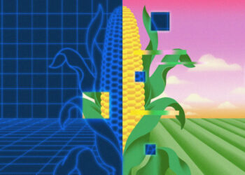 Technology turns farming into a career young workers like