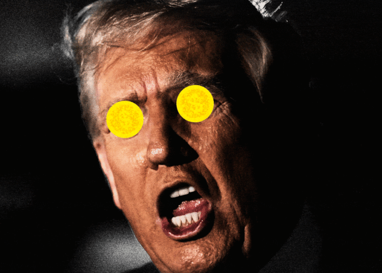 MAGA Civil War Erupts Over Trump’s $2,000 Refund Checks