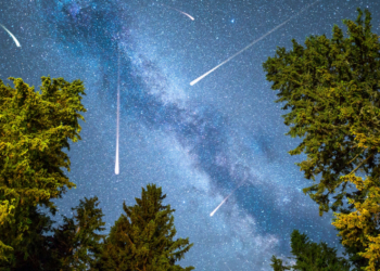 The Leonid Meteor Shower Peaks Soon. Here’s How To See It.