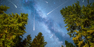 The Leonid Meteor Shower Peaks Soon. Here’s How To See It.