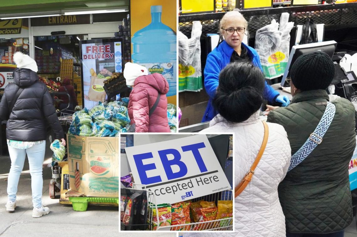 Panic sets in for New Yorkers as SNAP benefits dry up and gov shutdown extends