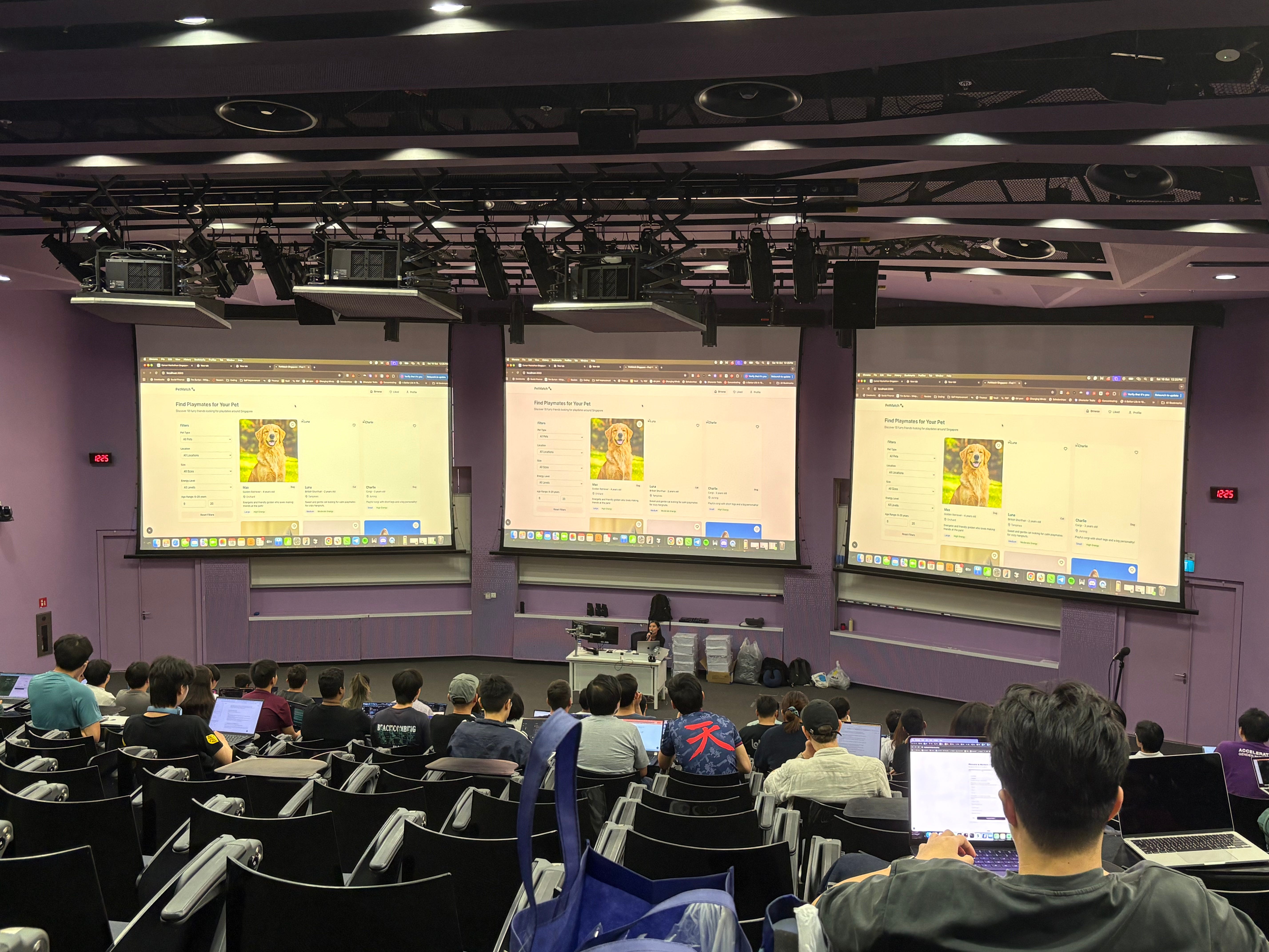 Building a pet website with Cursor.