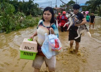Philippines: Typhoon Kalmaegi death toll climbs past 90