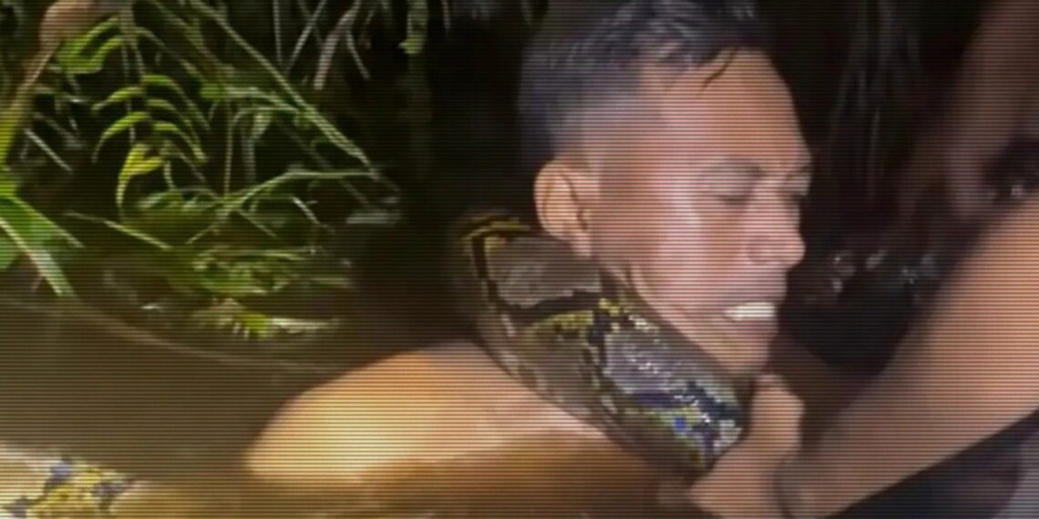 Python Filmed Dragging Tour Guide Underwater Before Coiling Around His Neck