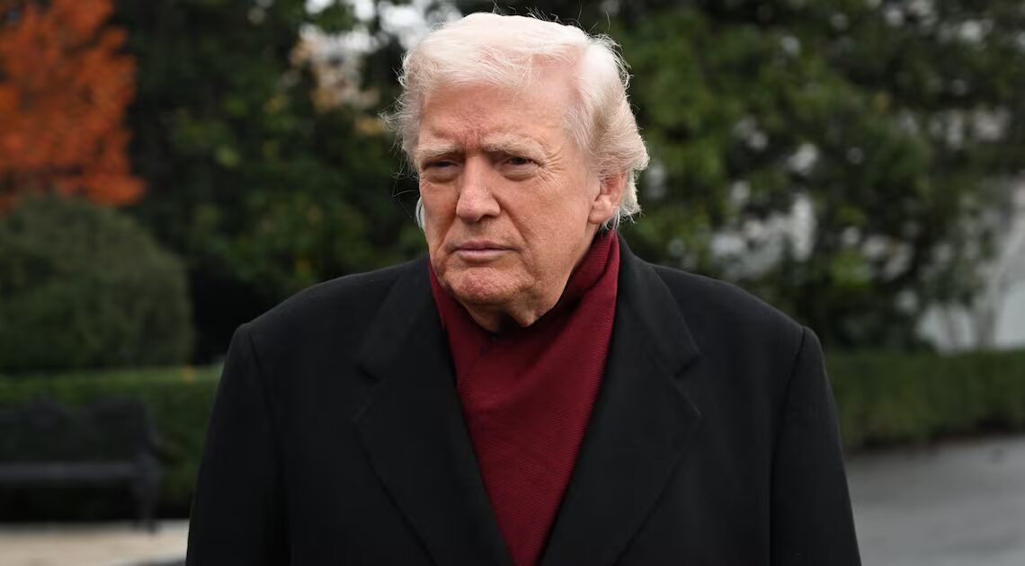 Trump’s New Accessory Gets Chilly Reception