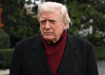 Trump’s New Accessory Gets Chilly Reception