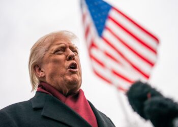 Trump designates chapters of the Muslim Brotherhood ‘foreign terrorist organizations’