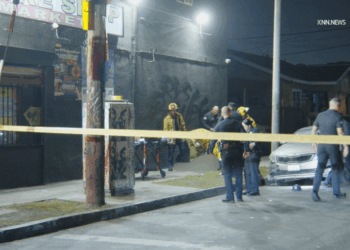 Reports: Son of rap executive, alleged Rolling 60’s Crips leader shot dead in L.A. 