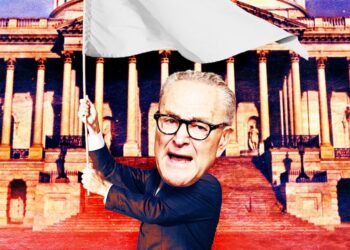 Senate Democrats Officially Surrender as Shutdown Deal Passes