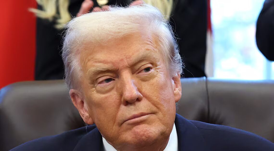 Trump, 79, Roasted After ‘Dumb’ Word Salad