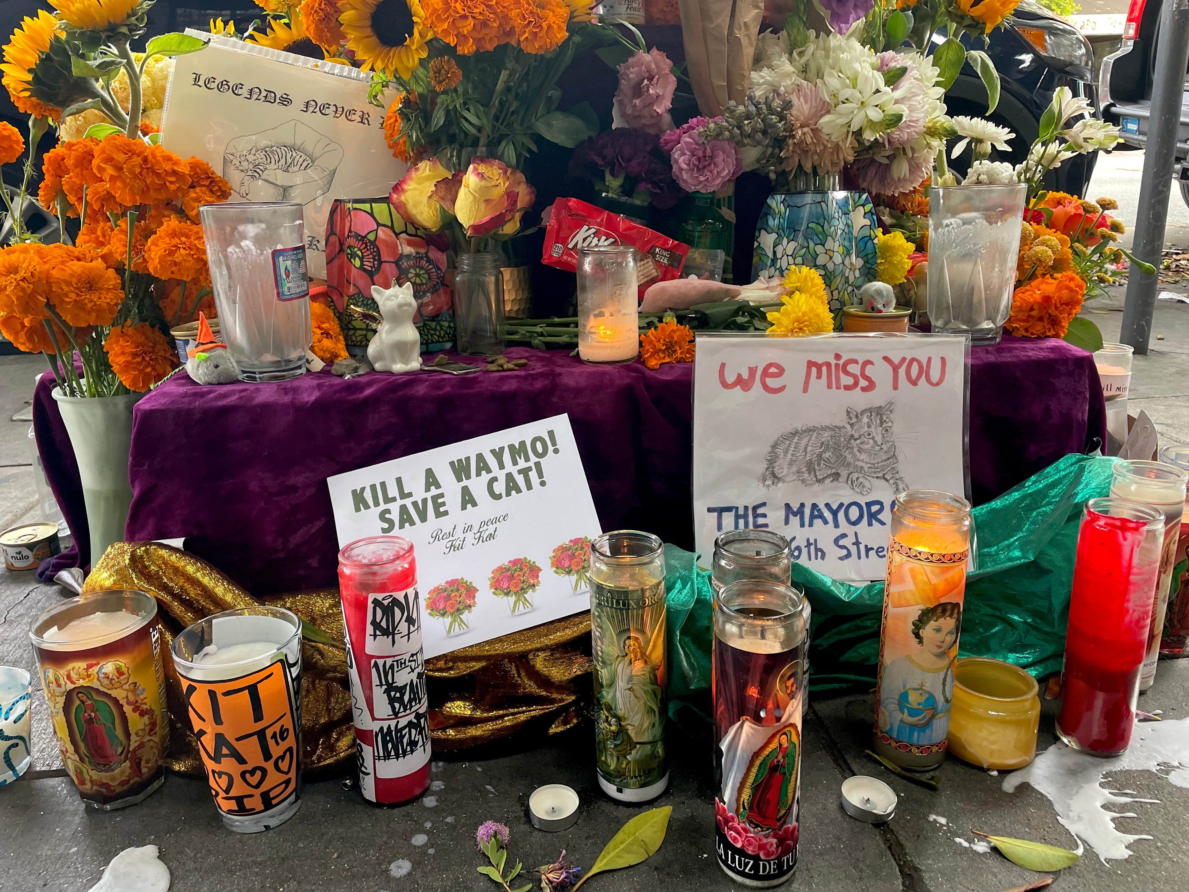 An altar set up in memory of KitKat, the bodega cat.
