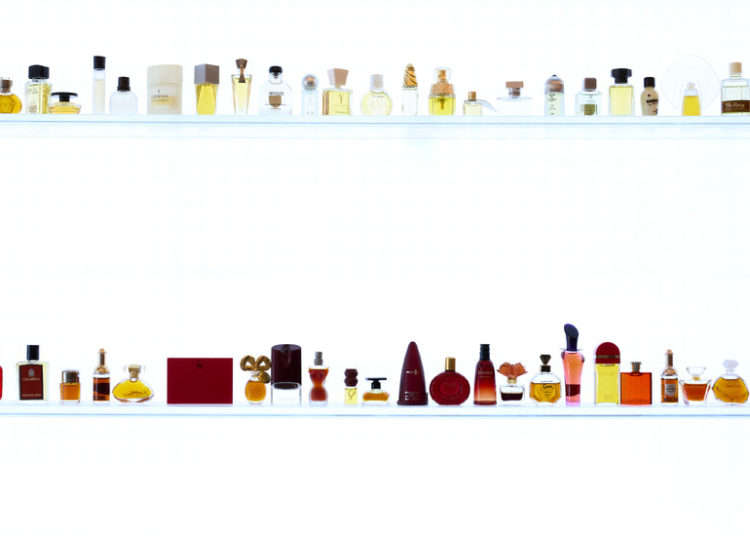 Searching for Scent in New York