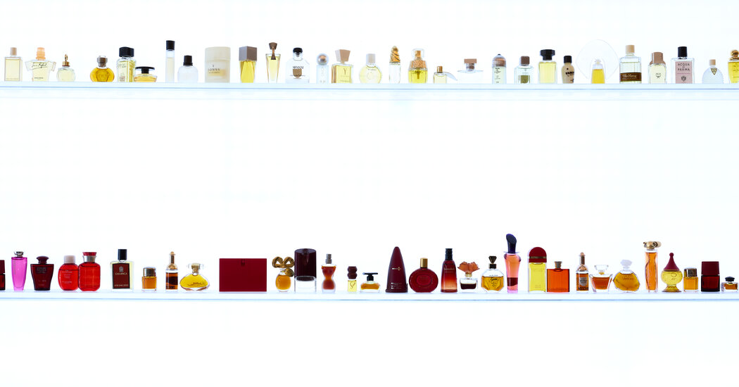 Searching for Scent in New York