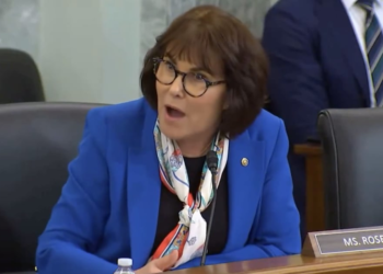 Senate Meeting Erupts Into ‘Stalking’ Shouting Match