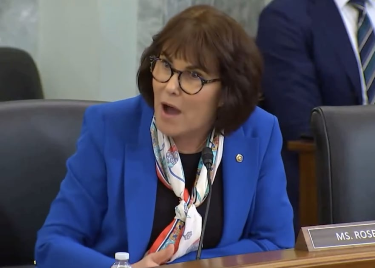 Senate Meeting Erupts Into ‘Stalking’ Shouting Match