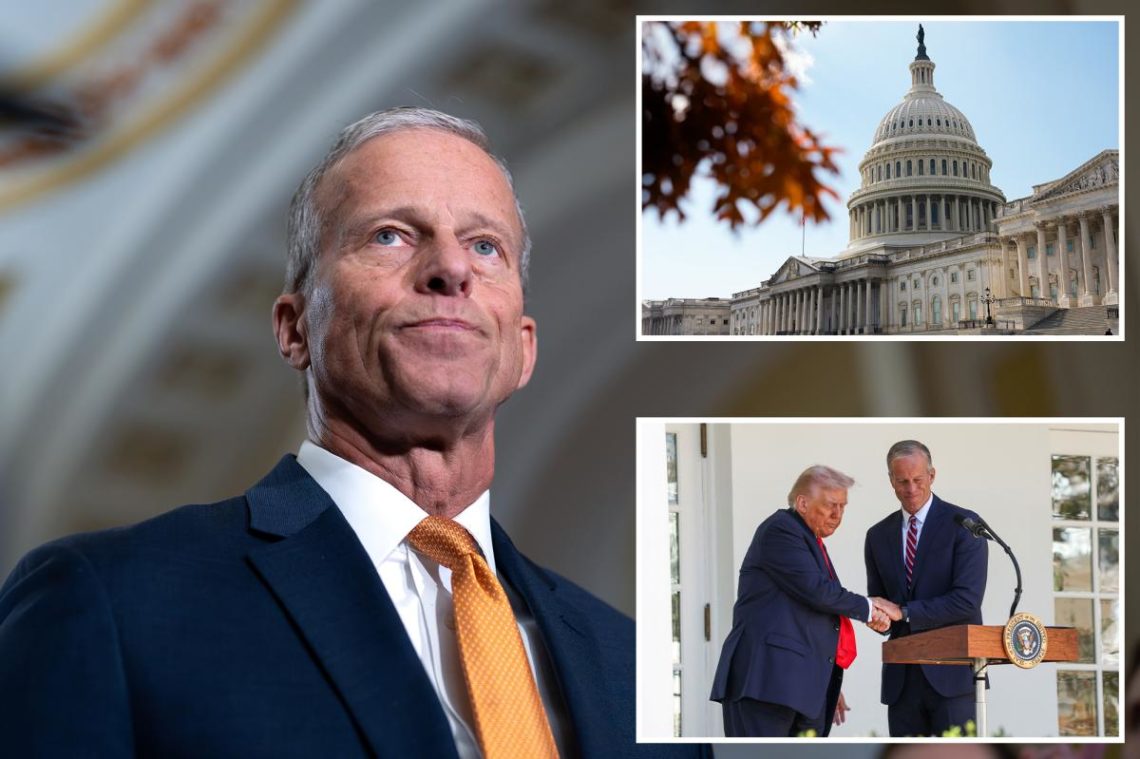 Senate majority leader says he doesn’t have the votes to eliminate filibuster despite Trump’s wishes