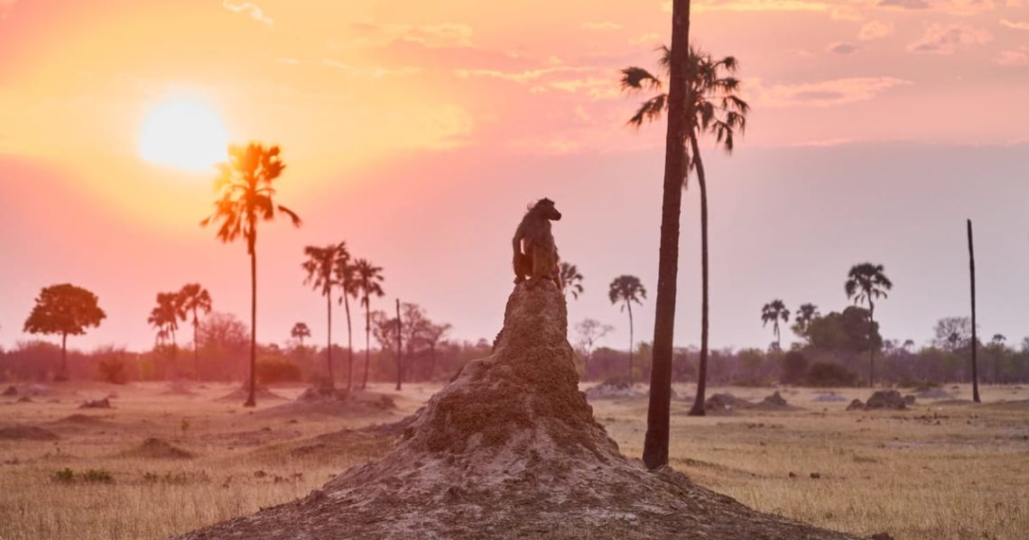 So schwächen die EU-Staaten das Klimaziel 2040 ab