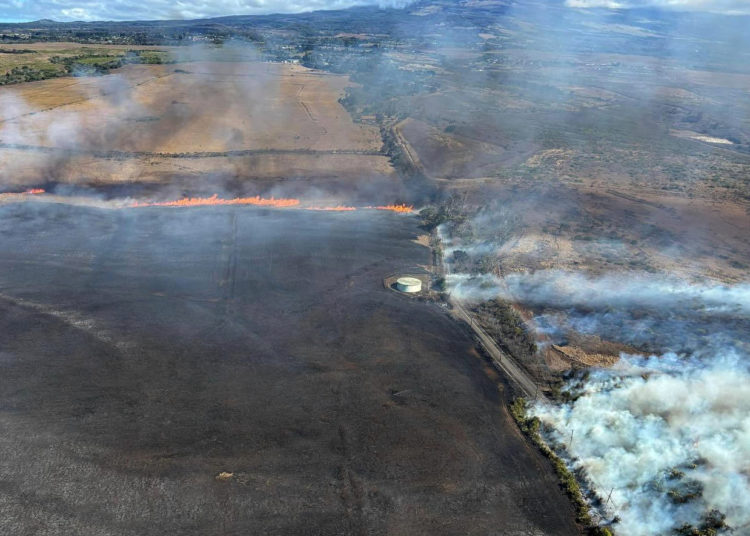 States sue Trump administration over restrictions put on FEMA emergency grants