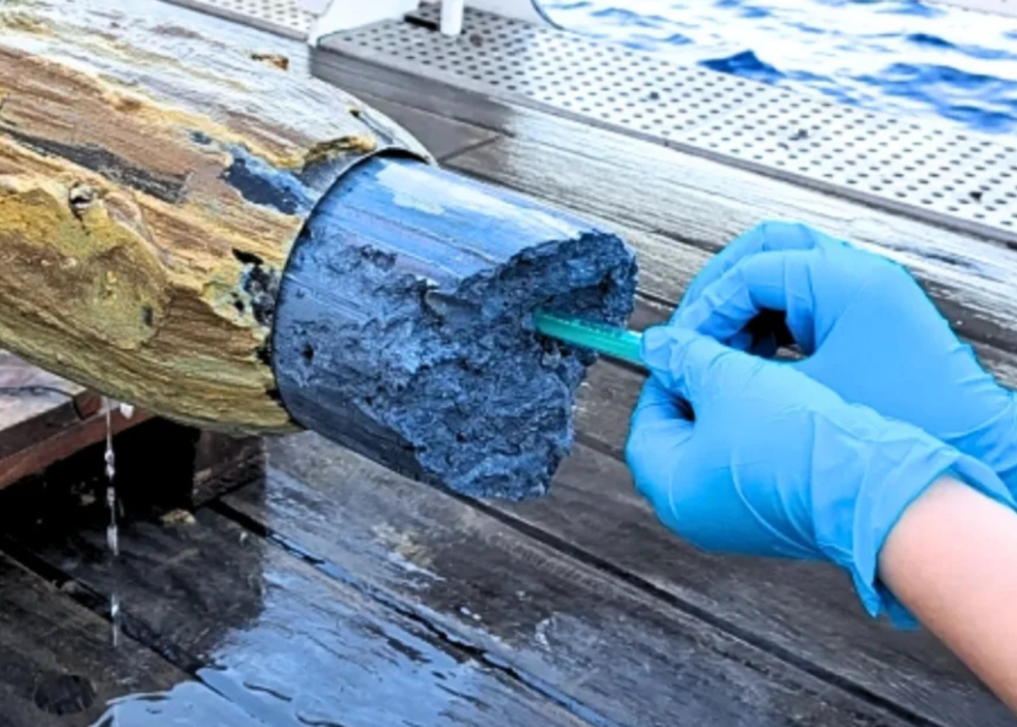 Blue Volcanic Goo Found at the Bottom of the Ocean Is Showing Signs of Life