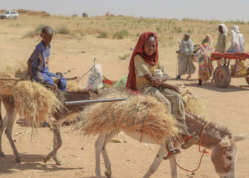 Sudan Is in Free Fall