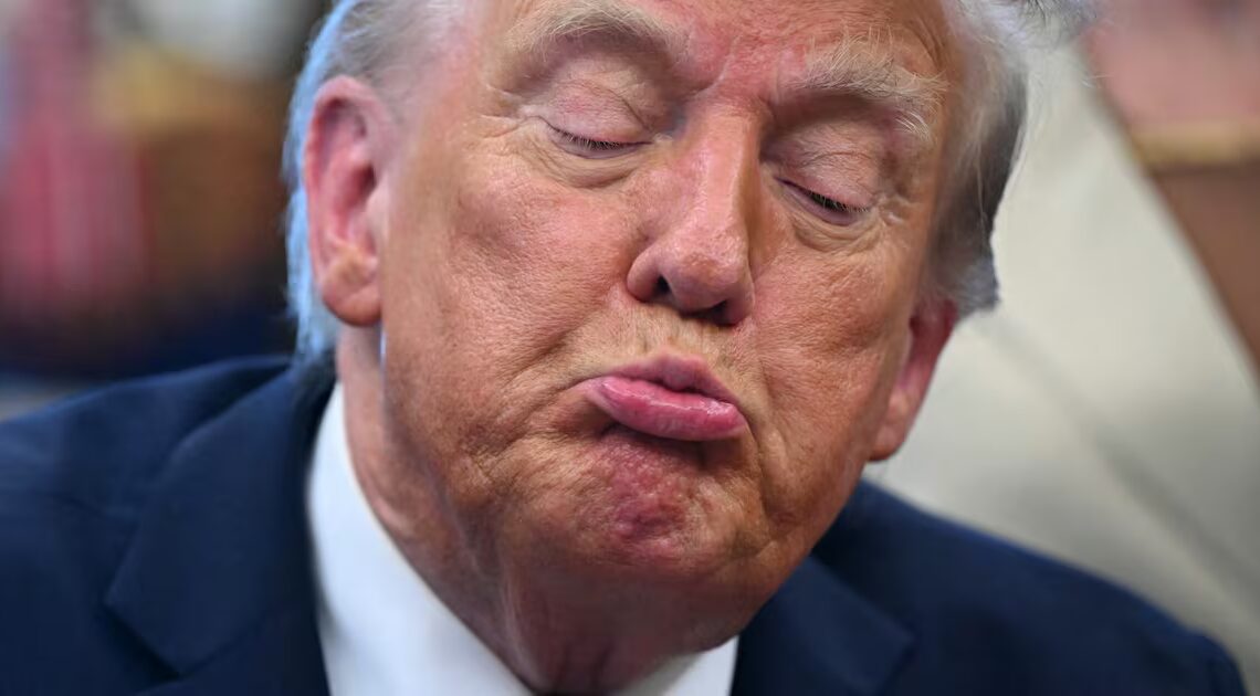 Freaked-Out Trump Aides Trying to Stop Him Pushing His Favorite Delusion