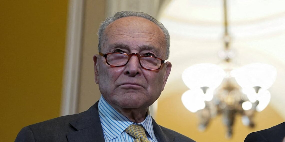 Democratic Senator Has Visceral Reaction When Asked if He Backs Schumer