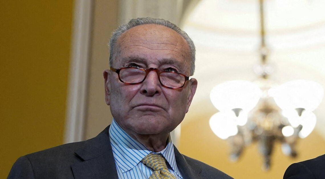 Democratic Senator Has Visceral Reaction When Asked if He Backs Schumer