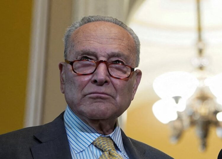 Democratic Senator Has Visceral Reaction When Asked if He Backs Schumer